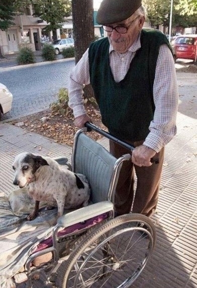 Amazing Moments That Will Restore Your Faith In Humanity