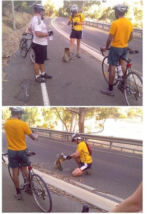 Amazing Moments That Will Restore Your Faith In Humanity