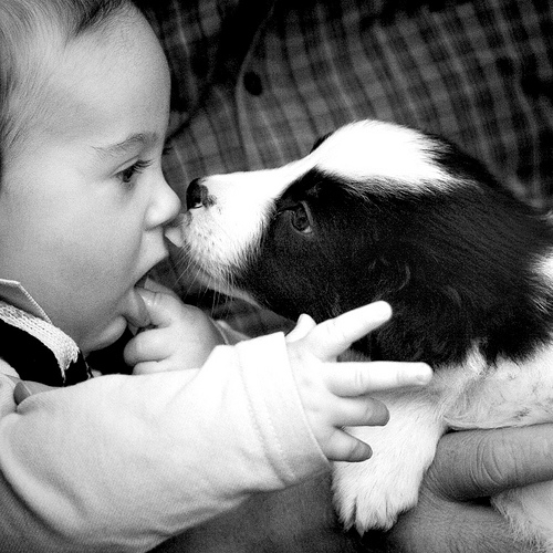 Dogs And Children Have A Special Bond