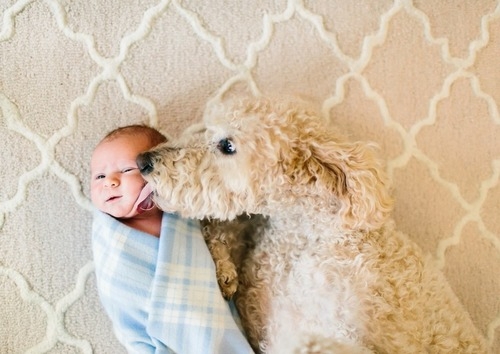Dogs And Children Have A Special Bond