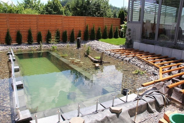A Swimming Pond 