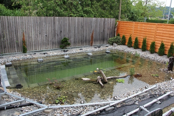 A Swimming Pond 