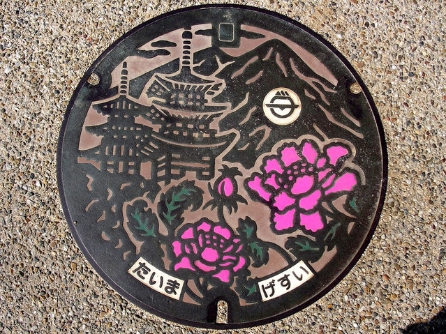  Japanese Manhole Covers Photos