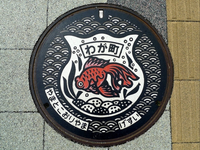  Japanese Manhole Covers Photos