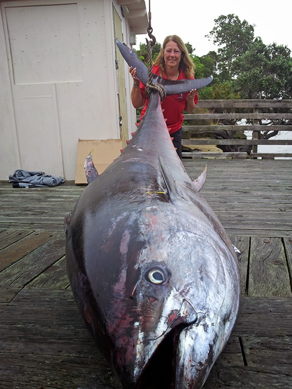 Woman Catches a Big Tuna Fish