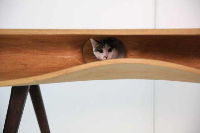 This Table Has Built In Tunnels For A Cat