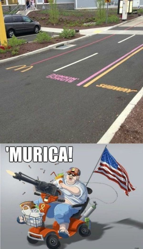 'Merica Land Of The Awesome Home Of The Epic