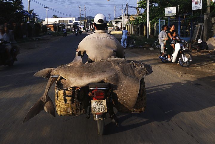 Vietnam's Motorbikes Carry Mind-Boggling Loads of Stuff
