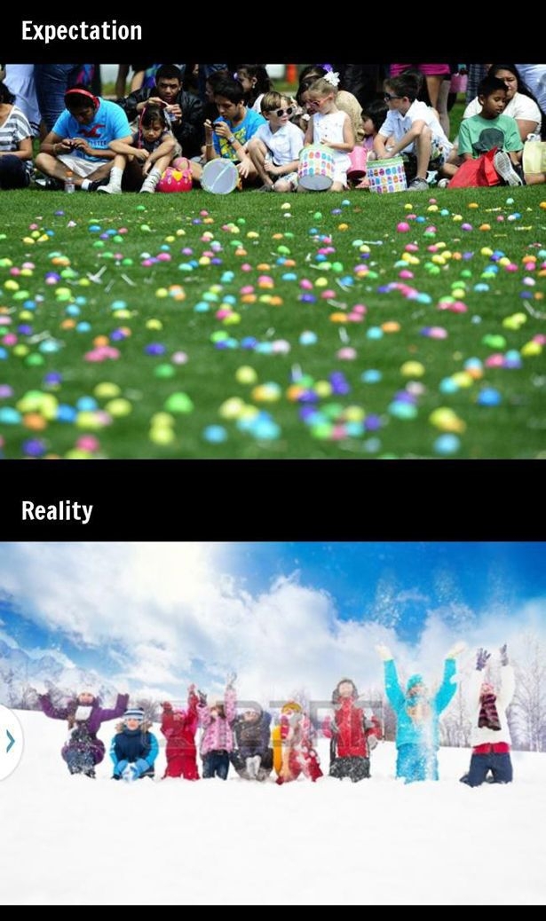 Awesome Life Moments Expectations Vs. Reality