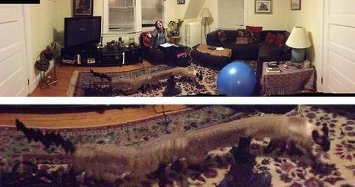 Awkward Panoramic Photo Fails Of All Time