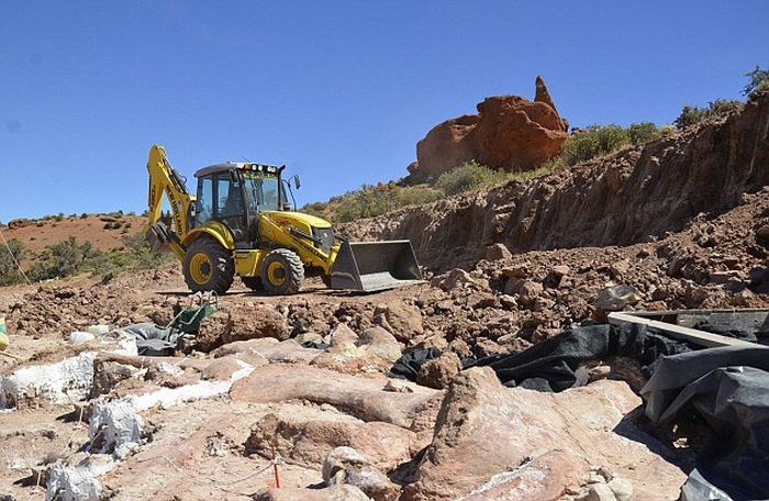 Largest Dinosaur Ever Gets Discovered In Argentina