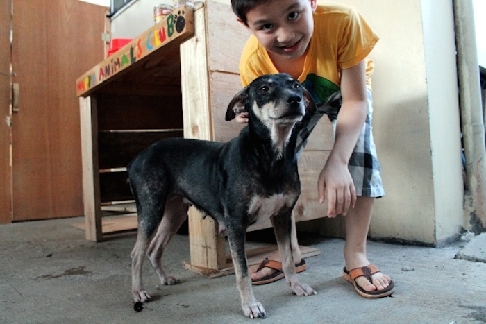 9-Year-Old Achieves Dream of Starting a No-Kill Animal Shelter