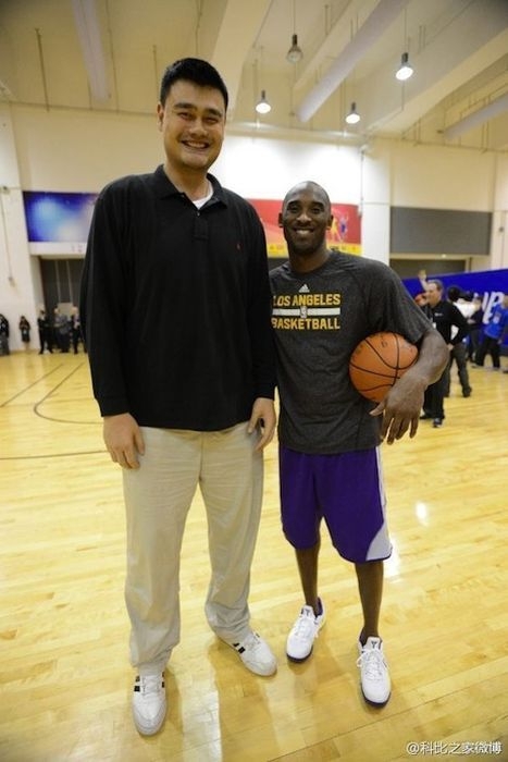 Yao Ming Made People Look Like Tiny Ants