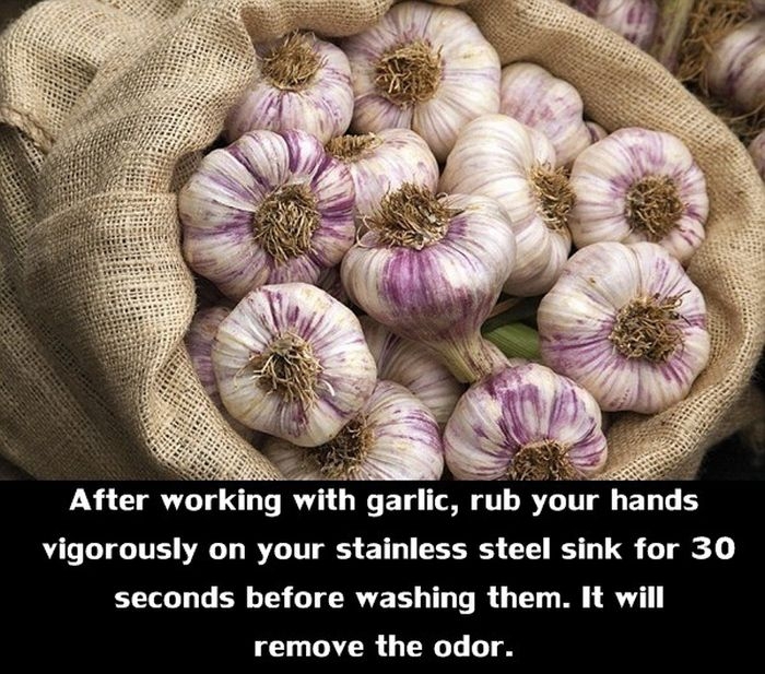 Great Tips You Can Use In The Kitchen