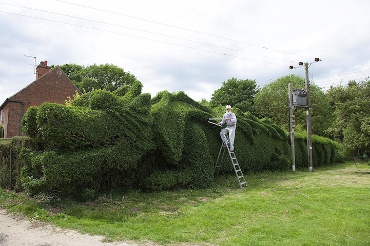Retired Man Sculpts Giant Hedge Into a 100-Foot-Long Dragon