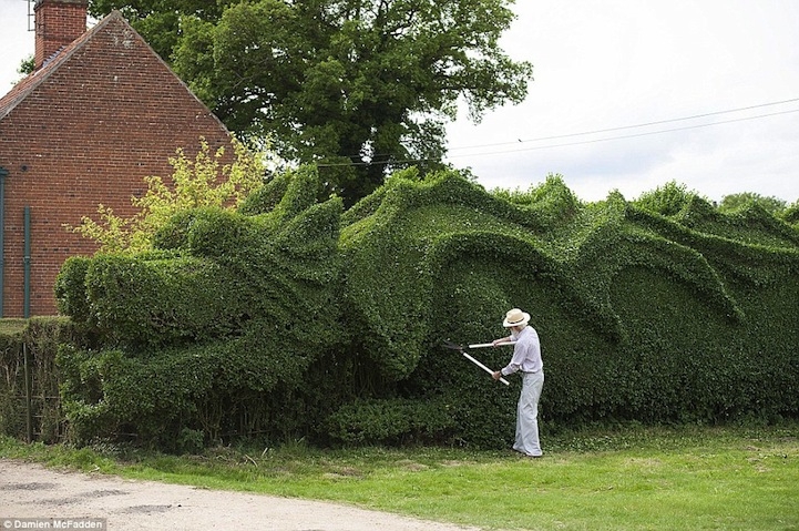 Retired Man Sculpts Giant Hedge Into a 100-Foot-Long Dragon