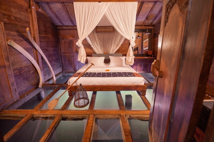 Amazing Room's Glass Floor Reveals Underwater Wonders