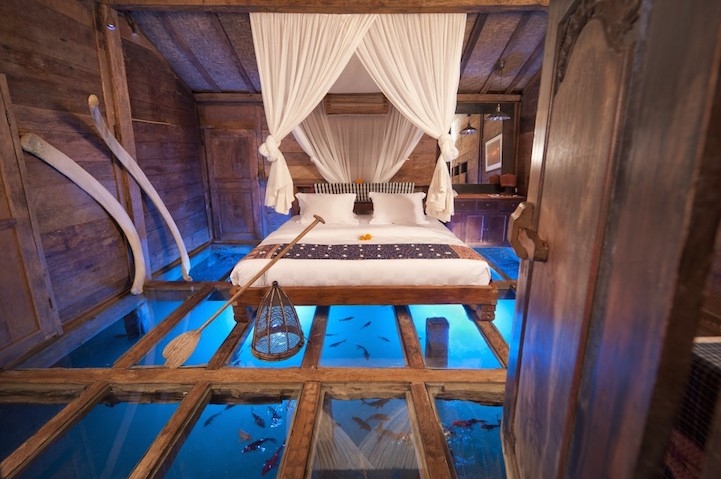 Amazing Room's Glass Floor Reveals Underwater Wonders