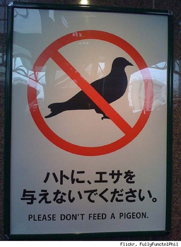 Foreign signs that failed at English