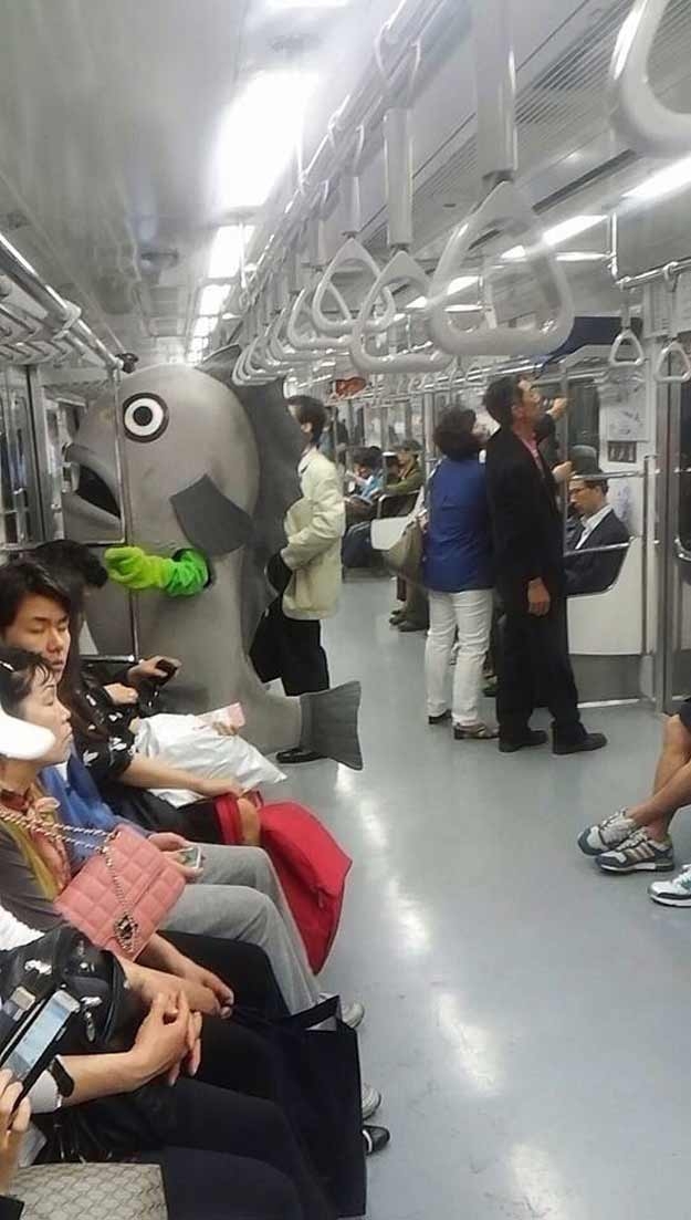 Just a day on public transportation 