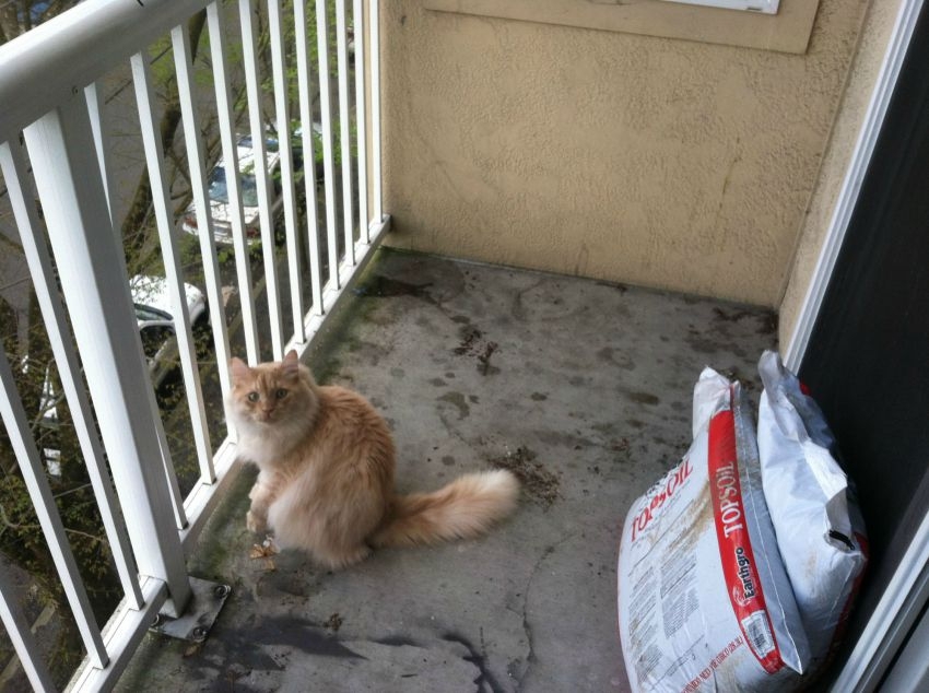 This girl was sick of her tiny city apartment balcony...