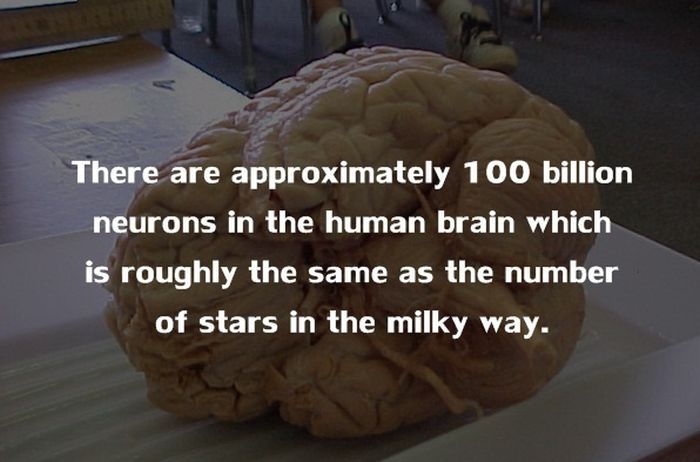 Crazy Things You Didn't Know About The Human Body