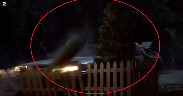 The One Thing You Never Noticed In “Back To The Future”