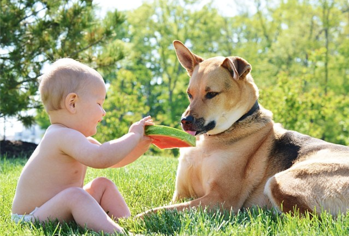 Amazing Friendship Between Adorable Toddler and His Loving Rescue Dog