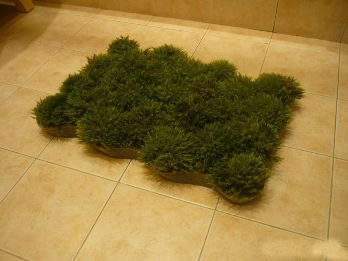Homemade Grass Bath Mat