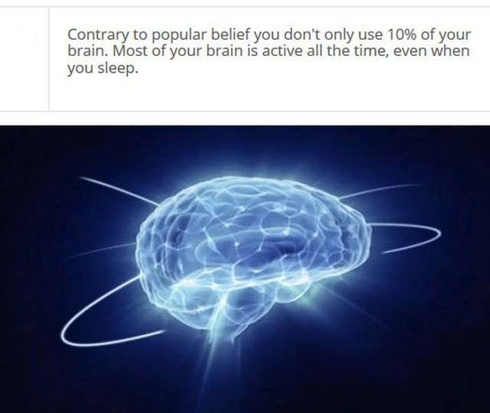 Facts About Your Brain That Might Blow Your Mind