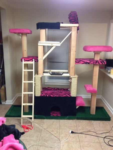 A Custom Made Kitty Tower That Is Every Cat’s Dream