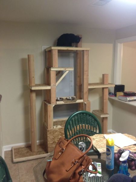 A Custom Made Kitty Tower That Is Every Cat’s Dream