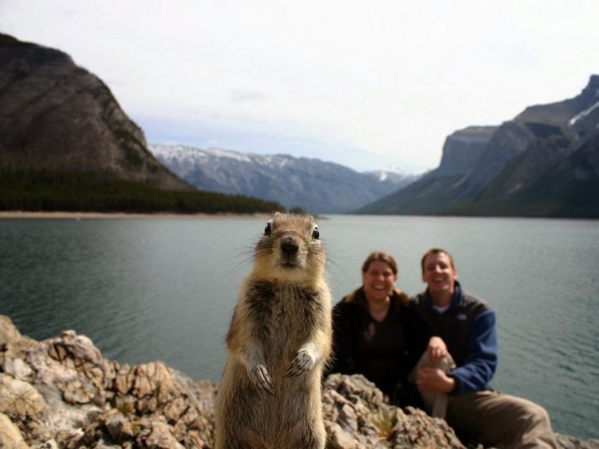 Here are some more hilarious photobombs