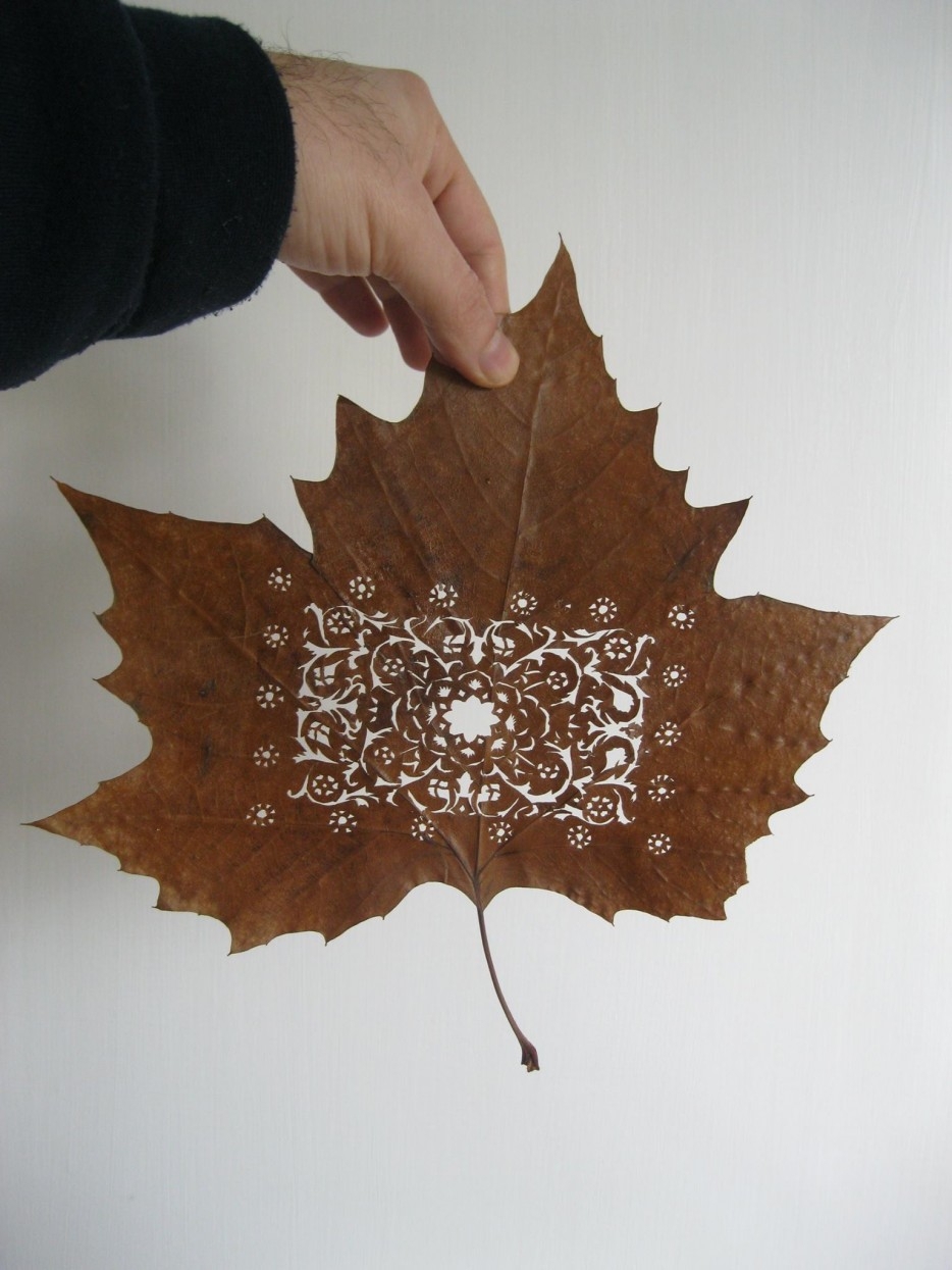 These Delicate Leaves Are Carefully Cut Into The Most Astounding Scene