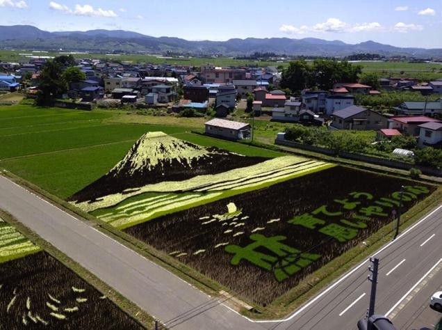 Farmers In Japan Transform Their Rice Paddies Into Living Works Of Art