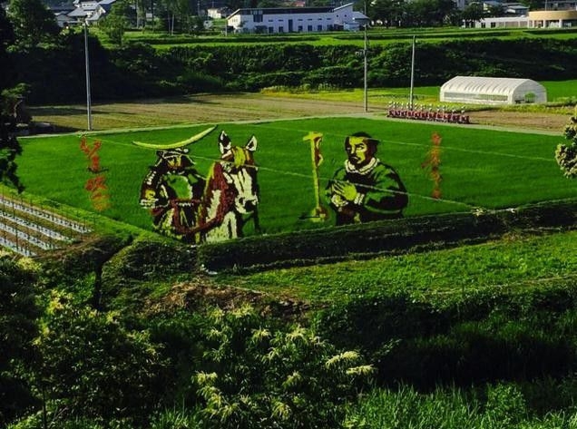 Farmers In Japan Transform Their Rice Paddies Into Living Works Of Art
