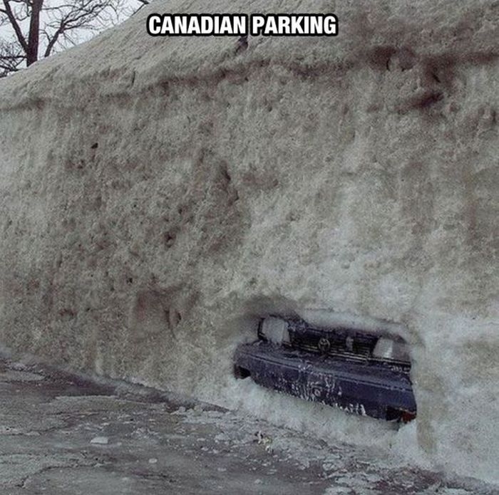 Things You Will Only See In Canada