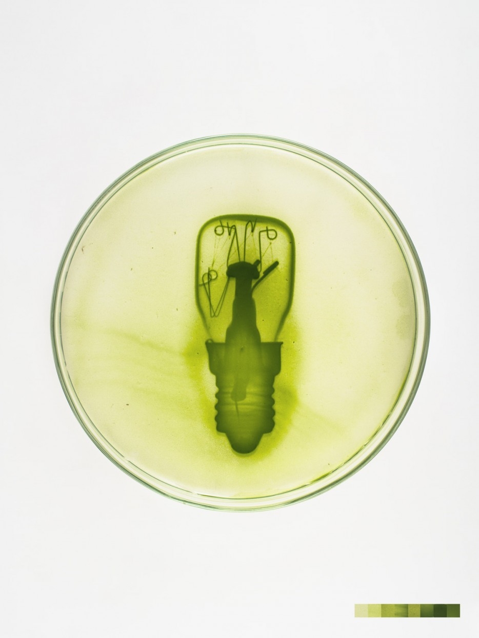 This Artist Combines Science And Art To Create Photos With Algae