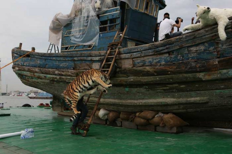 Why Is A Boat Full of Stuffed Animals Floating Around Shanghai?