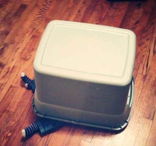 25 Kids Who Haven't Figured Out This Hide And Seek Thing