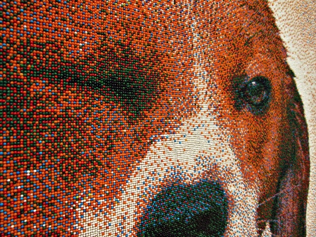 An Adorable Portrait Of A Showering Dog Is Actually Made Of  Sprinkles