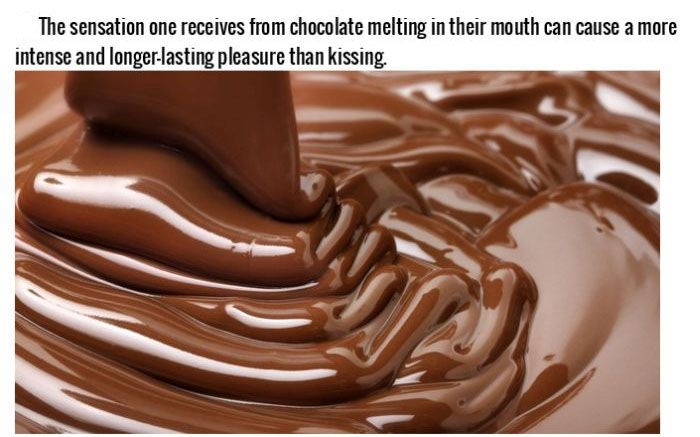 Fascinating Facts That Will Make You Love Chocolate
