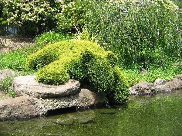 Impressive topiary sculptures