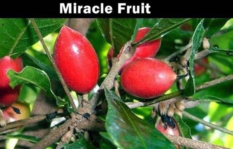 20 Really Strange Fruits You Probably Never Heard Of