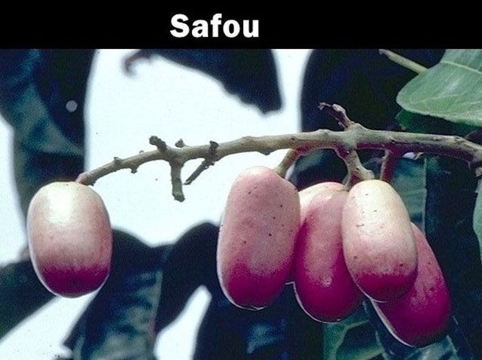 20 Really Strange Fruits You Probably Never Heard Of