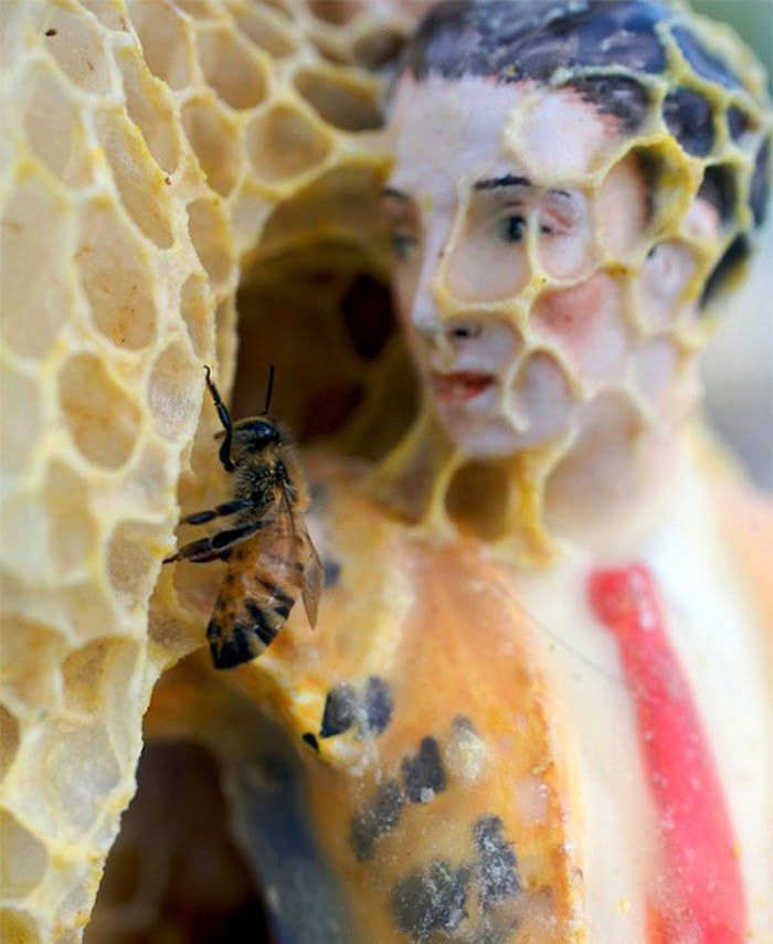 Bee Art That You Won’t Believe It’s Real