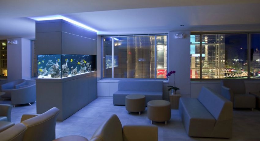 30 Fabulous Fish Tanks I Would Be Proud To Have In My Home