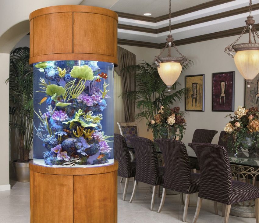 30 Fabulous Fish Tanks I Would Be Proud To Have In My Home