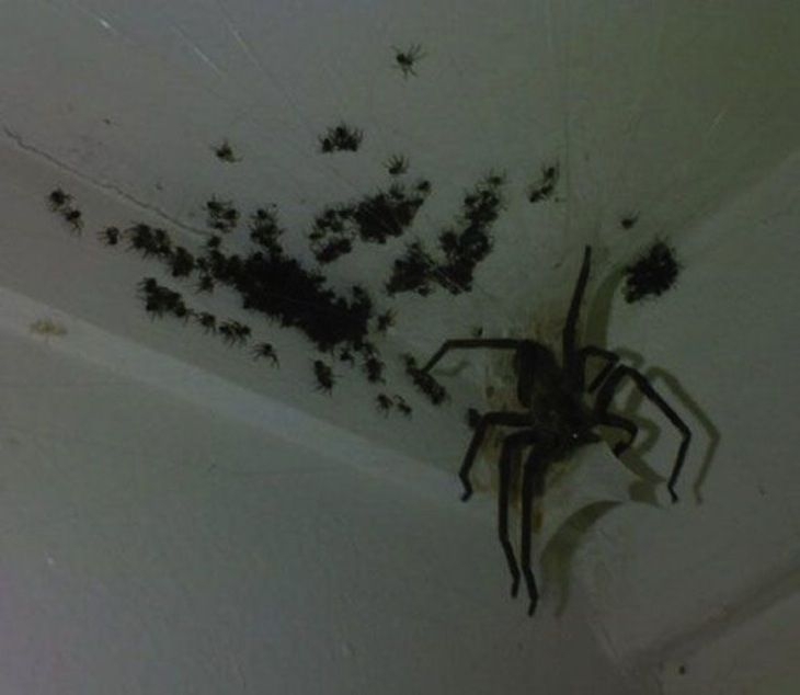 Can You Make It Through This Post Without Going NOPE?