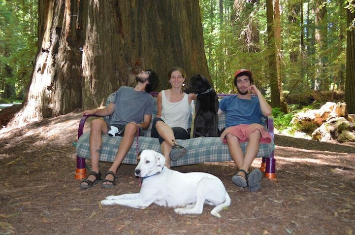 Three Friends, Two Dogs, One Futon: A Lighthearted Road Trip Series